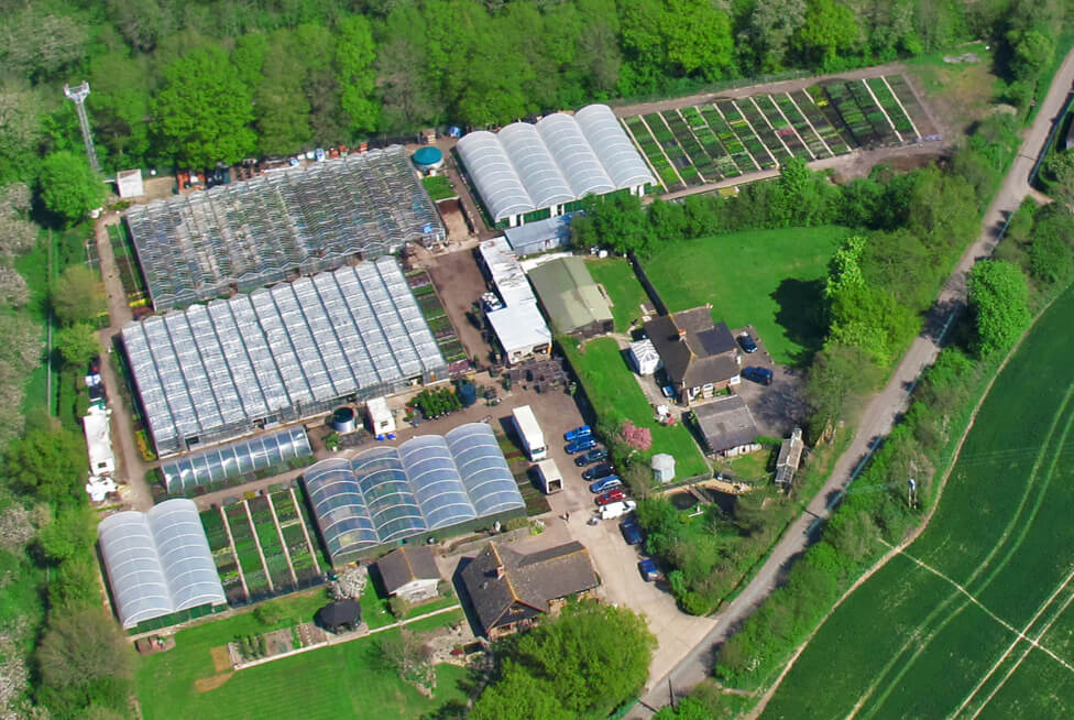 A bird's eye view of the nursery