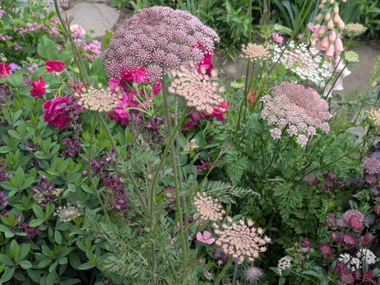 Planting mix in Jo Thompson's gold medal winning Chelsea show garden 2025