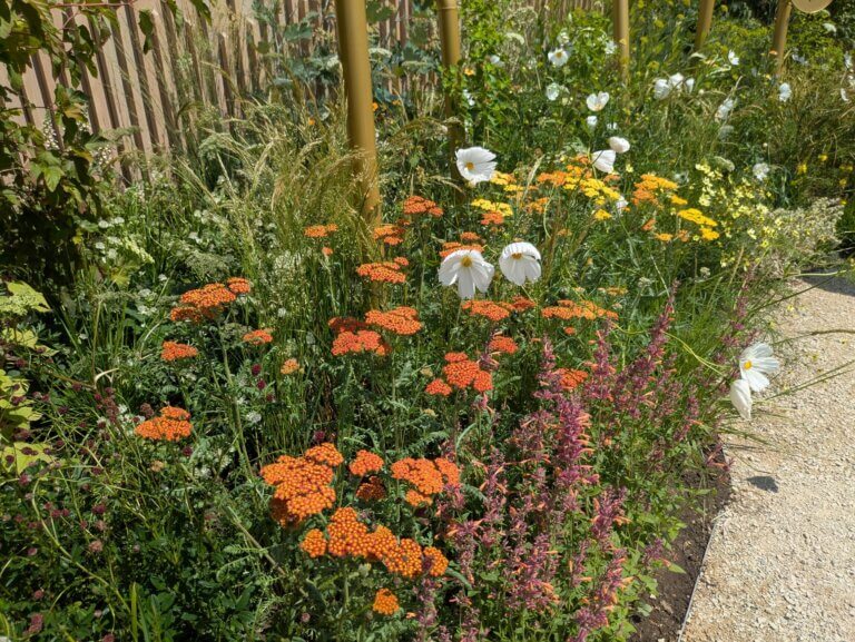 Close up of border