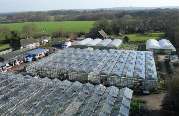 Aerial view of How Green Nursery