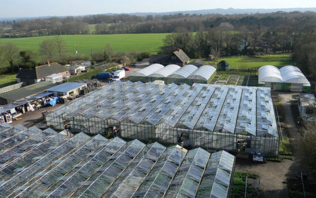 Aerial view of How Green Nursery